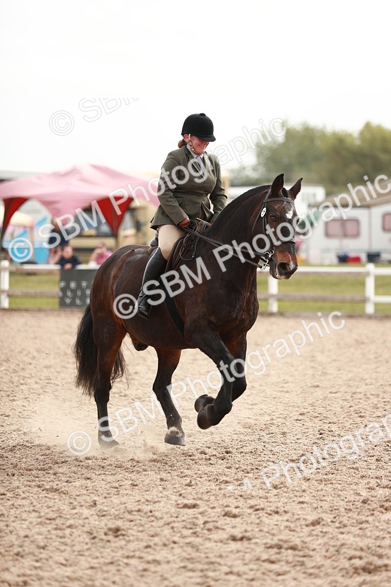 SBM_16782 - Class 214 Ridden Cob