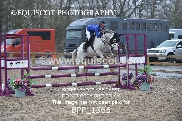 BPP_1365 - CLASS 5 Pony BritiNovice / 0.80m Open