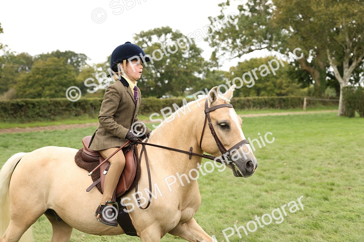 SBM_63010 - S64 - Foreign Breeds Ridden