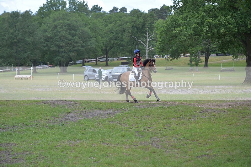 NGP_6554 - Time 10:28 to 10:48