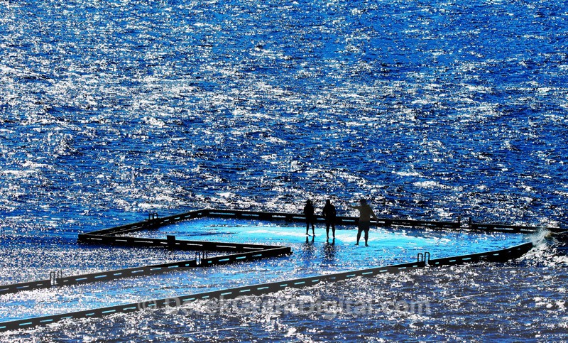 Spring Freshet Renforth Wharf Rothesay New Brunswick - Extreme Weather