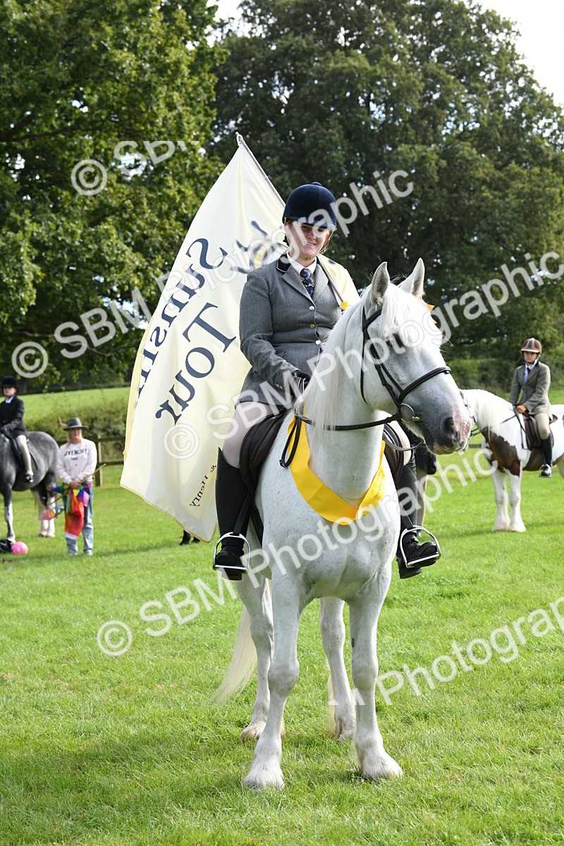 SBM_47243 - S12 - Family Horse & Pony