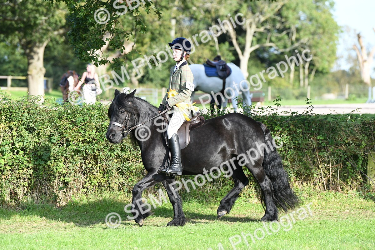 SBM_52105 - S21 - Novice & Newcomers 1st Ridden Pony