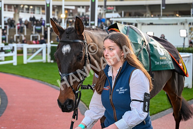 121225-Race 7-Kyntara-7175 - Race 7