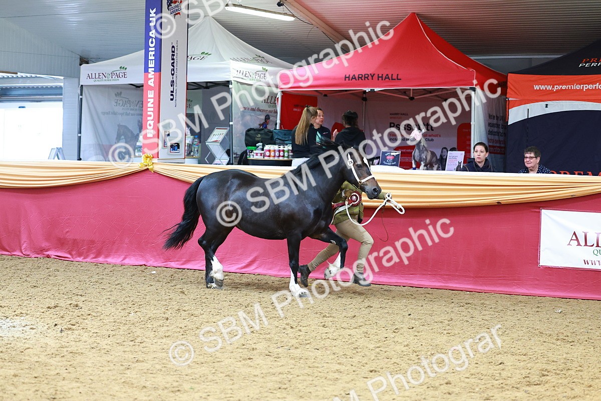 SBM_04371 - Class 9R - IH Pre-Vet
