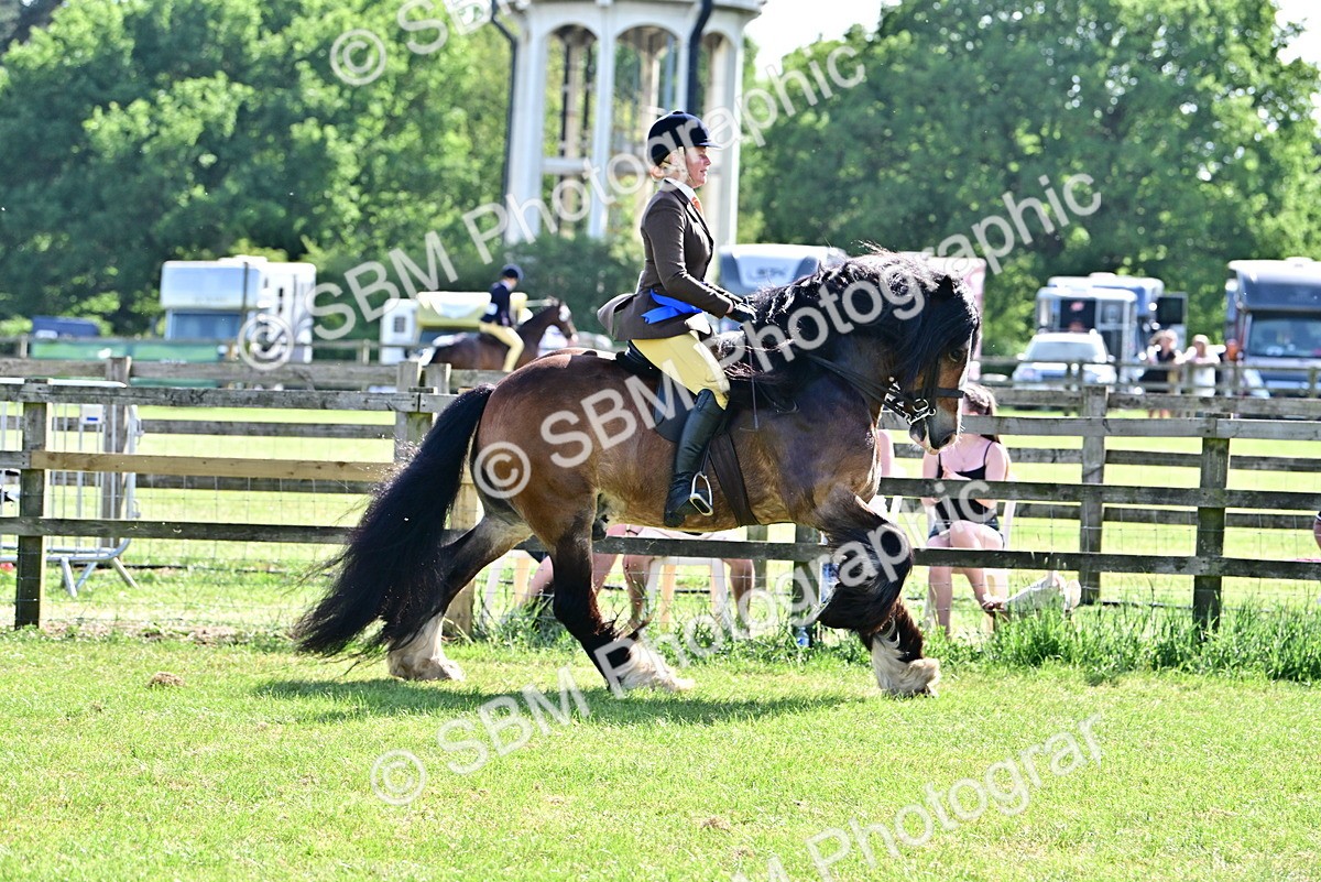 SBM_09456 - Class 63-65 - Traditional Gypsy Cobs In Hand & Ridden