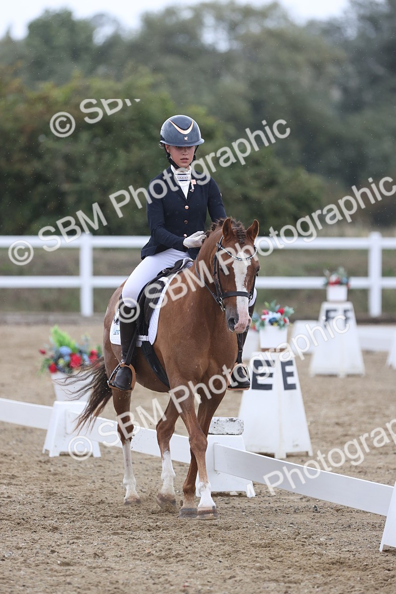 SBM_004328 - Class 9 - Novice 3 Champs