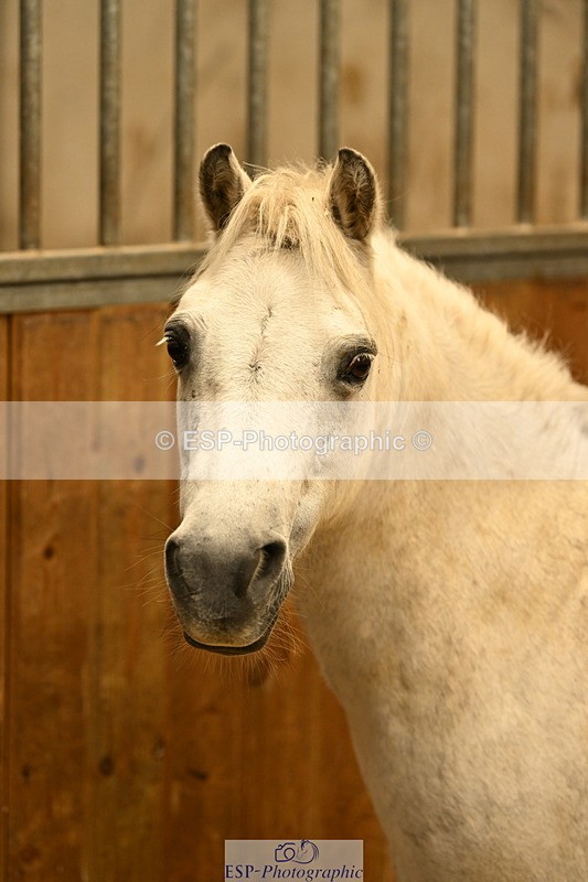 240809A-084633-00007 - Stable Shots