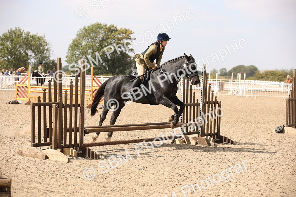 SBM_14326 - Class 407b - Working Veteran 60cm (20+)