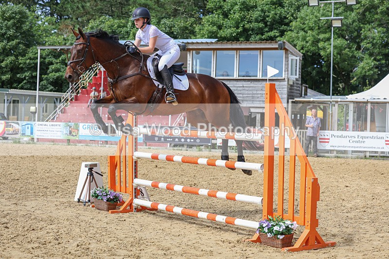 3E7A7523 - Class 9: Senior Foxhunter/1.20 open
