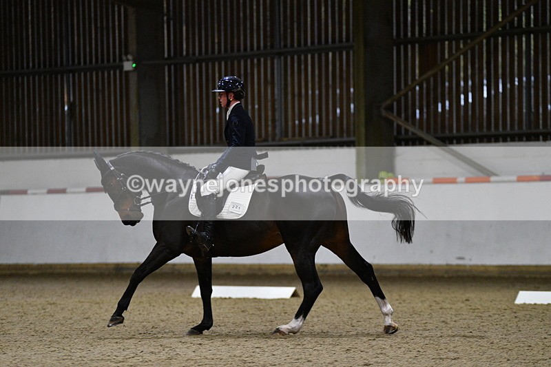 WJ5_8569 - Class 5 Novice Test 3
