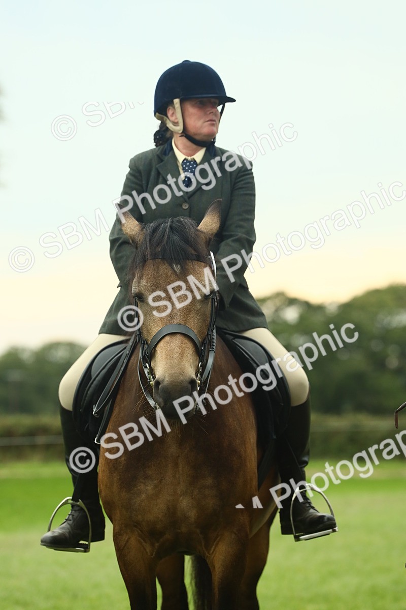 SBM_72273 - S60 - Mountain & Moorland Ridden Large Breeds