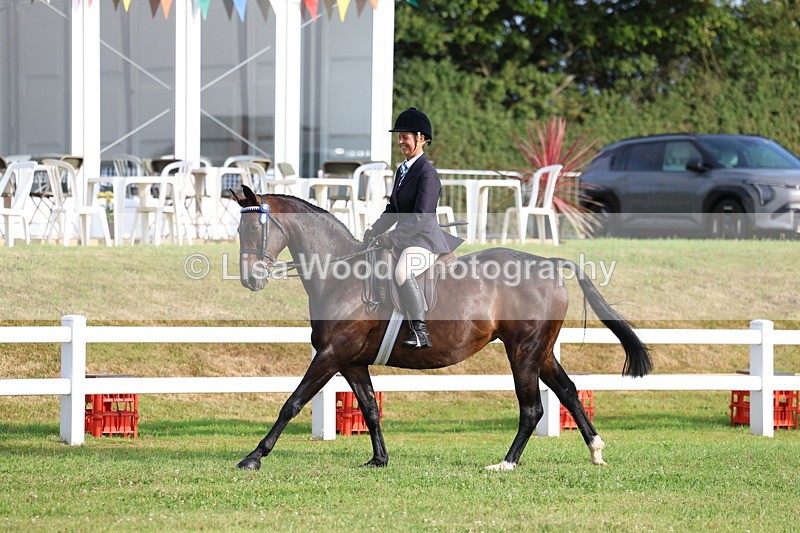 3E7A7734 - Class 1: Rising Star Small Hack/Riding Horses