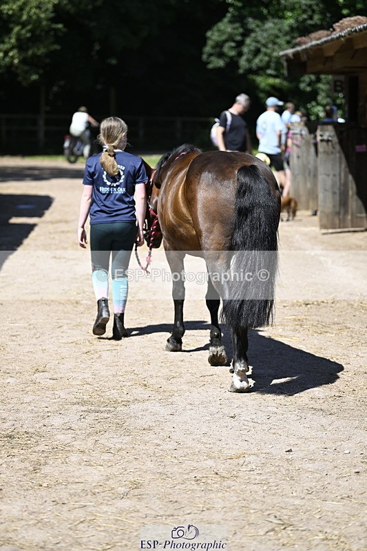 240728B-115240-00343 - Sunday Stable Shots and Fancy Dress