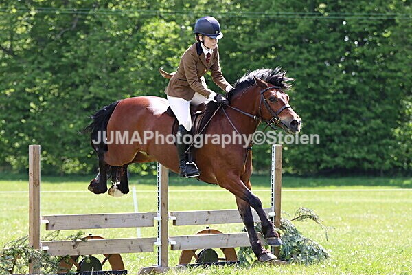 IMG_3760 - Working Hunter