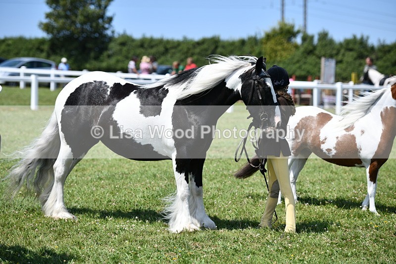 DSC_7769 - Class 64: Coloured Pony 4yrs & over