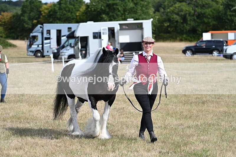 WJ7_8005 - In-hand Championship