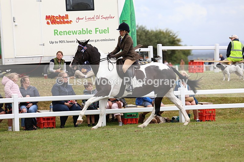 3E7A1035 - Class 8: Open Riding Horse/Hack