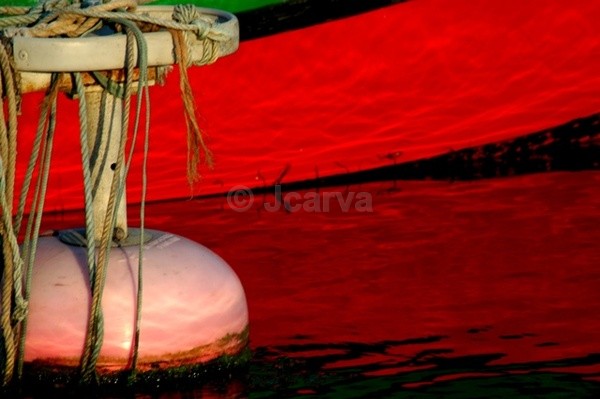 Red Float - Moliceiros