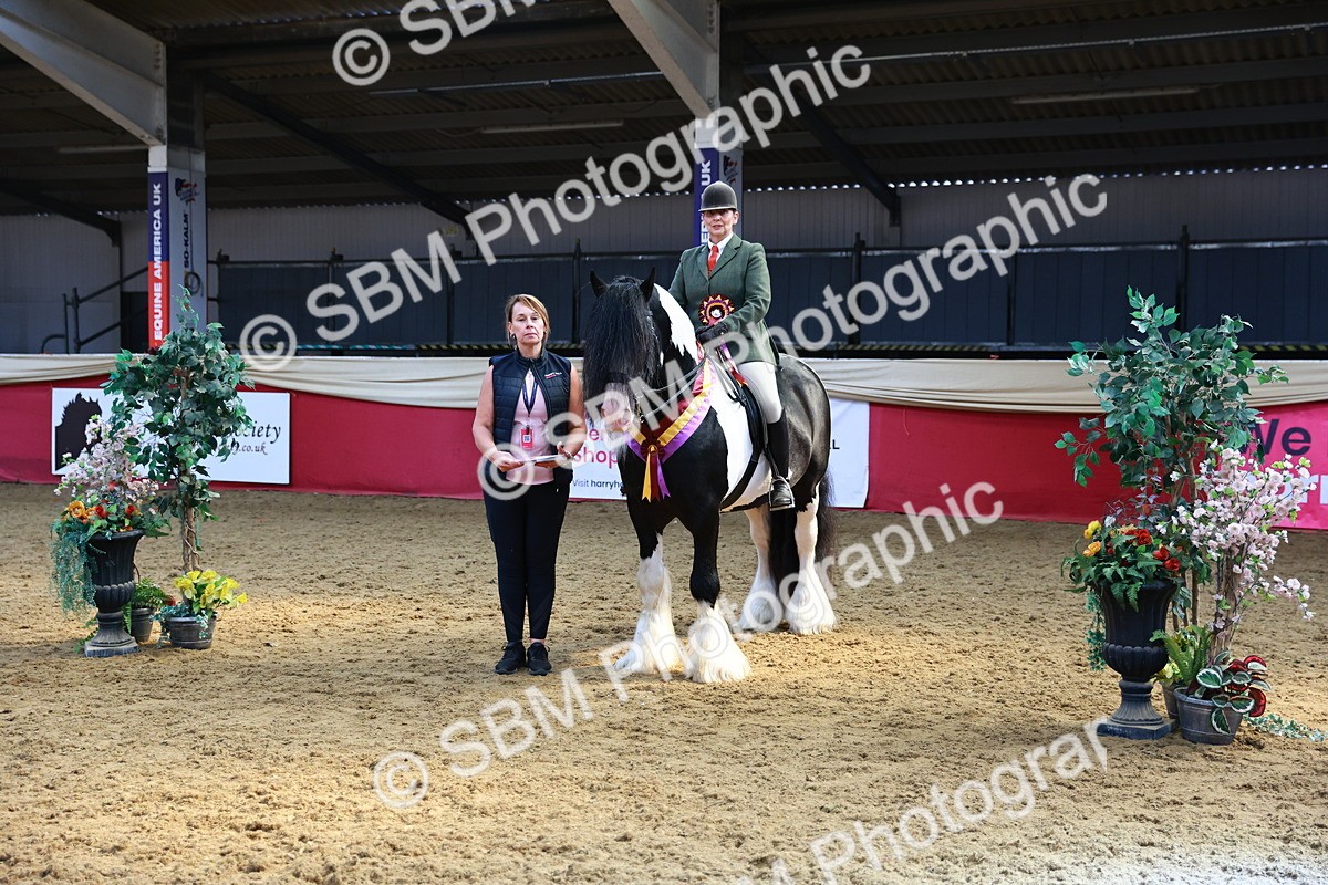 SBM_12770 - HOYS Veteran Qualifier - Ridden Champ