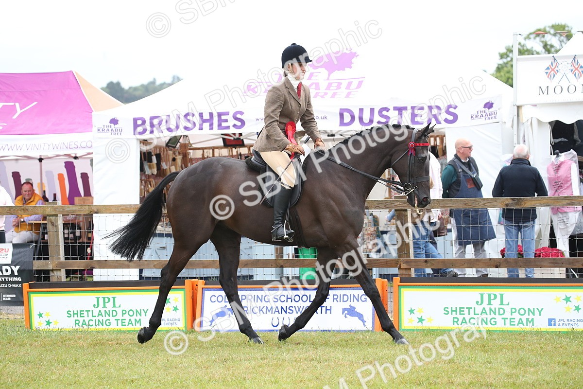 SBM_11476 - Class 94 - LIHS BSHA Racehorse to Showhorse
