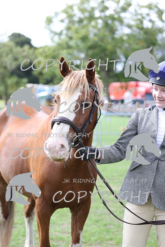 APP_2612 - Class 9 Veterans in hand