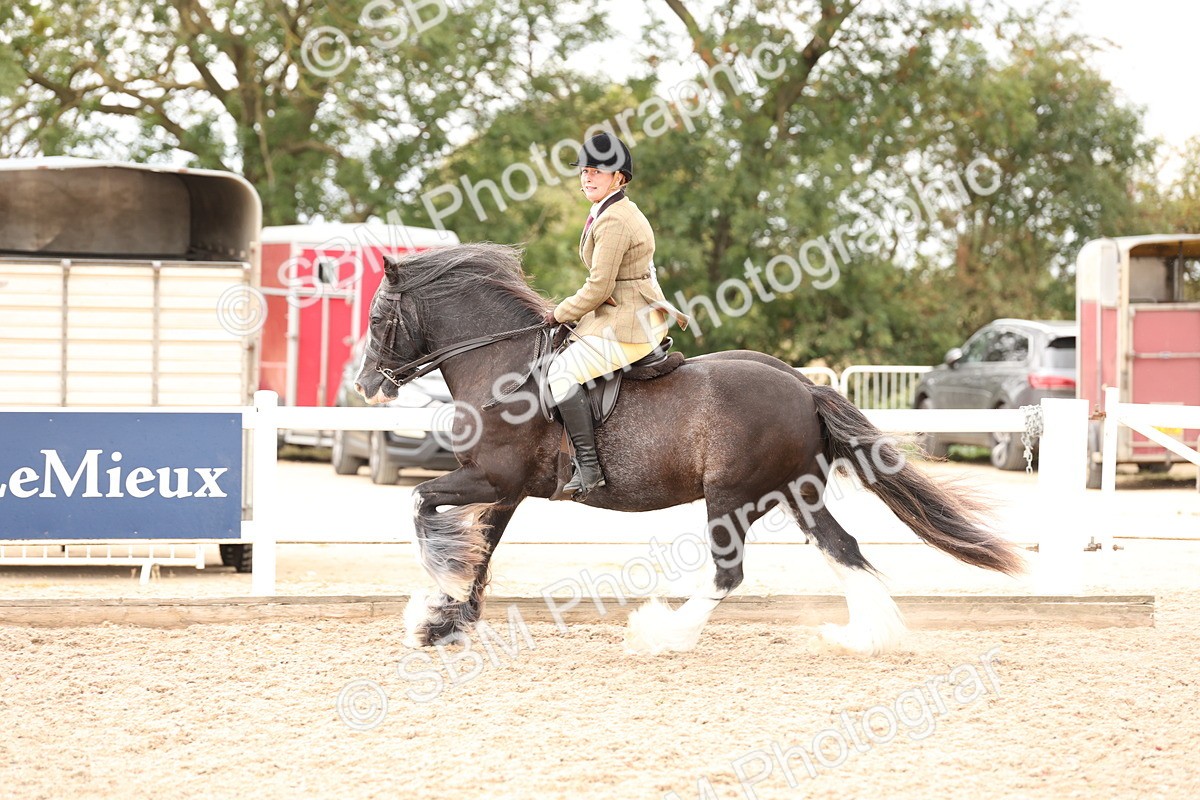 SBM_19679 - Class 216 - Ridden Traditional - Native Cob