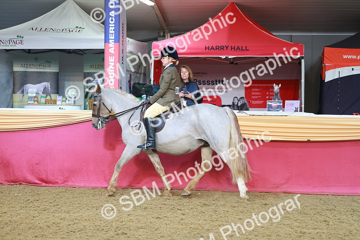 SBM_07651 - Class 101 - HOYS Veteran Qualifier - Ridden Diamond