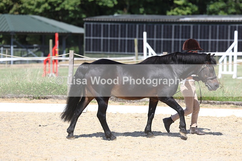 3E7A9404 - Class 29: Veteran In Hand