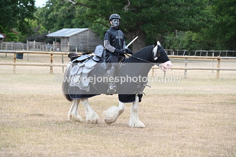 WJ6_8864 - Class 11 Fancy Dress