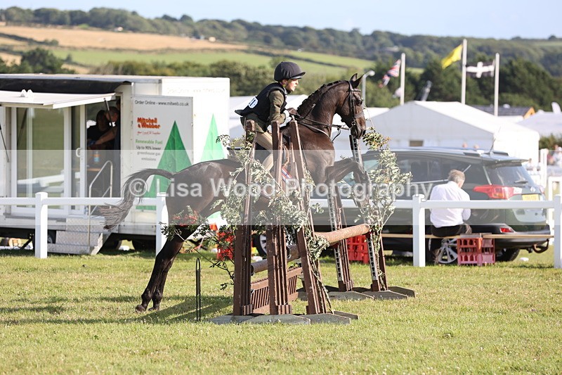 JPP_3263 - Class 21: Working Hunter 80cm