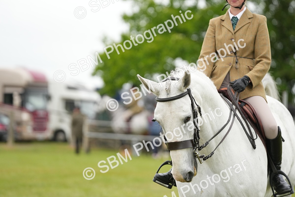 SBM_12515 - Class 97-98 - LIHS BSHA Rising Star Working Show Horse Hunter