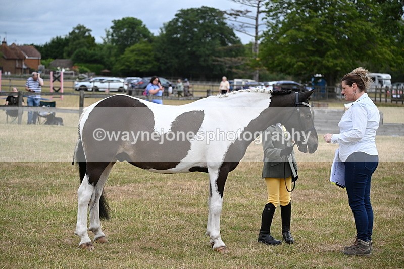 WJ6_4309 - Class 10 Coloured In-hand