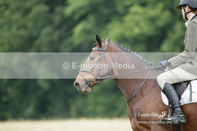 BVRC 030721 150 - Bourne Valley Riding Club Dressage 03/07/21