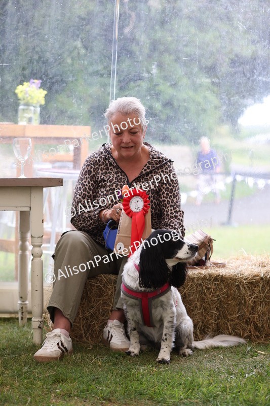 20250607-0402 - Class 10 - Golden Oldie