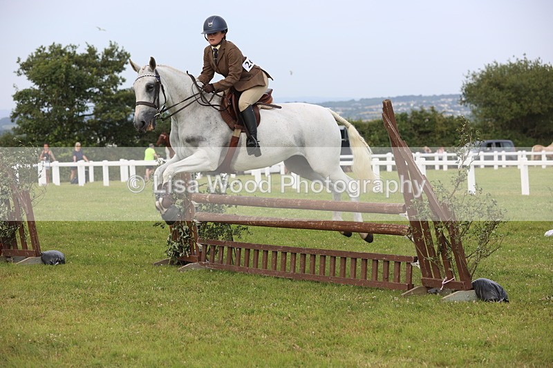 JPP_4155 - Class 25: Working Show Horse