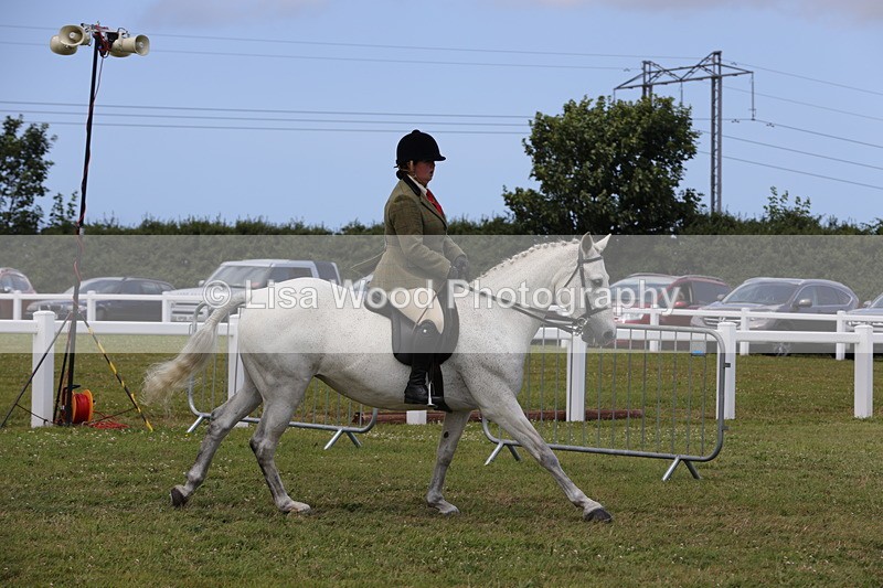 1X9A4352 - Class 34: Veteran Ridden