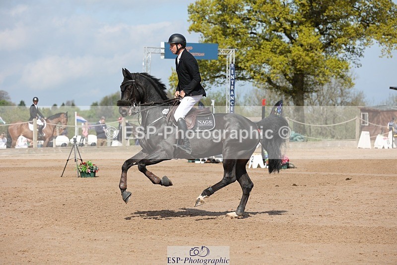 250427-105433-15687 - Cls 36 Young Horse 7yr old