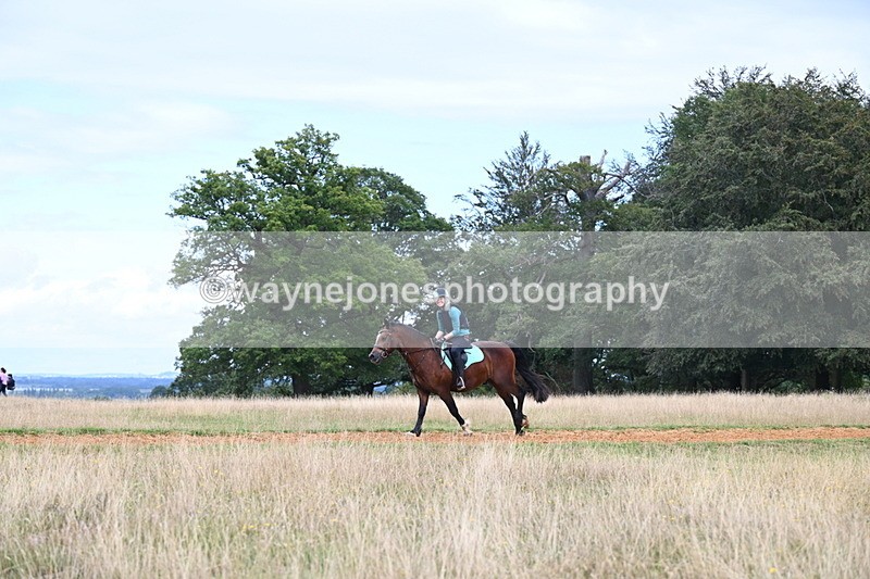 DSC_9040 - Time at Statue 14:33 to 15:10