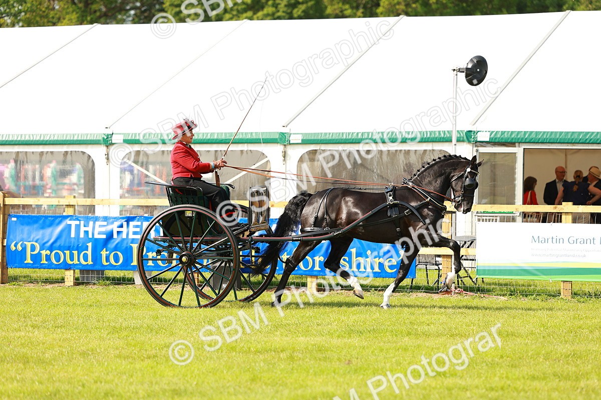 SBM_01164 - Class 2-4 - HOYS Private Driving