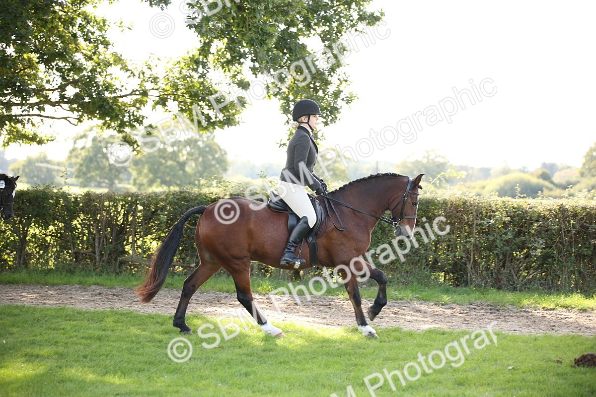 SBM_50121 - S26 - Young Veteran - Ridden