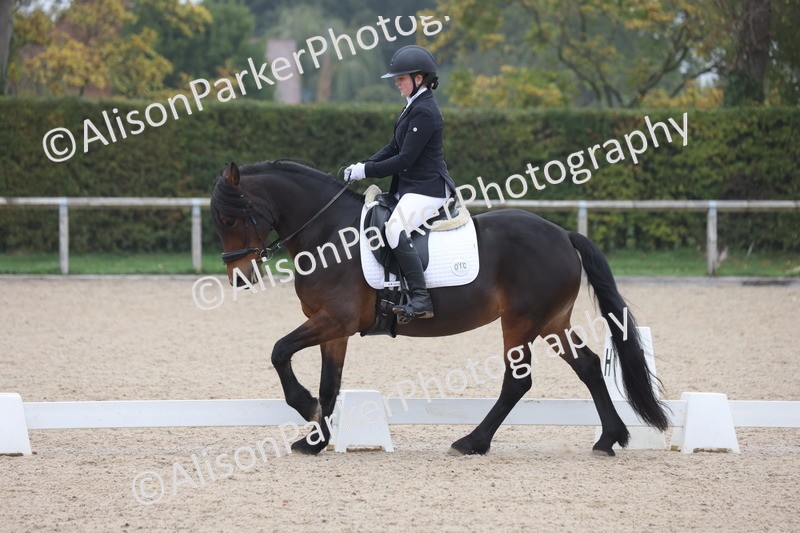 20251012-0528 - Class 4 - Novice 6