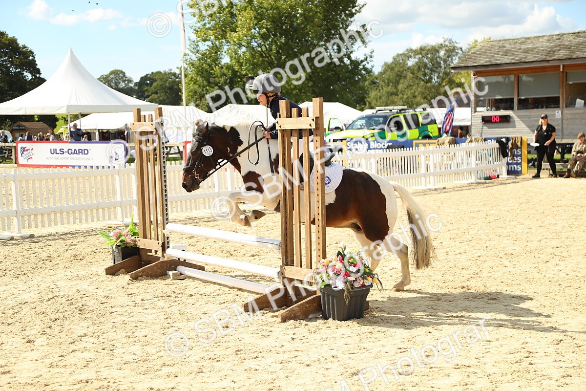 SBM_39502 - J6 - Junior Pony 55cm Championships