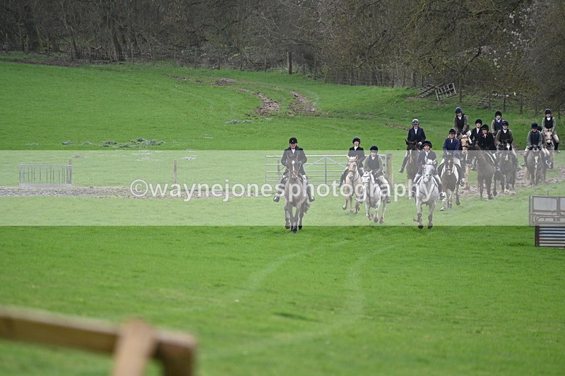 WJ6_9073 - Line Three