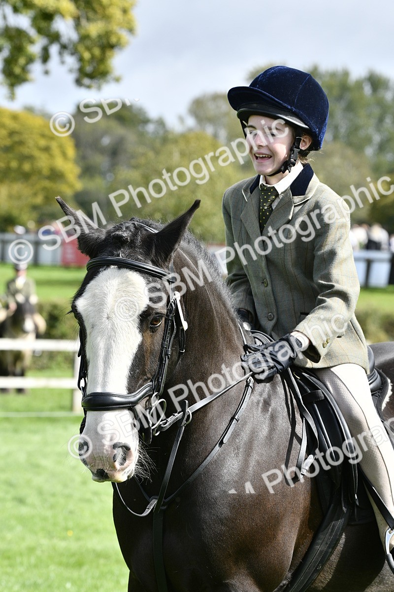 SBM_41638 - S32 - Mountain & Moorland Working Hunter Pony