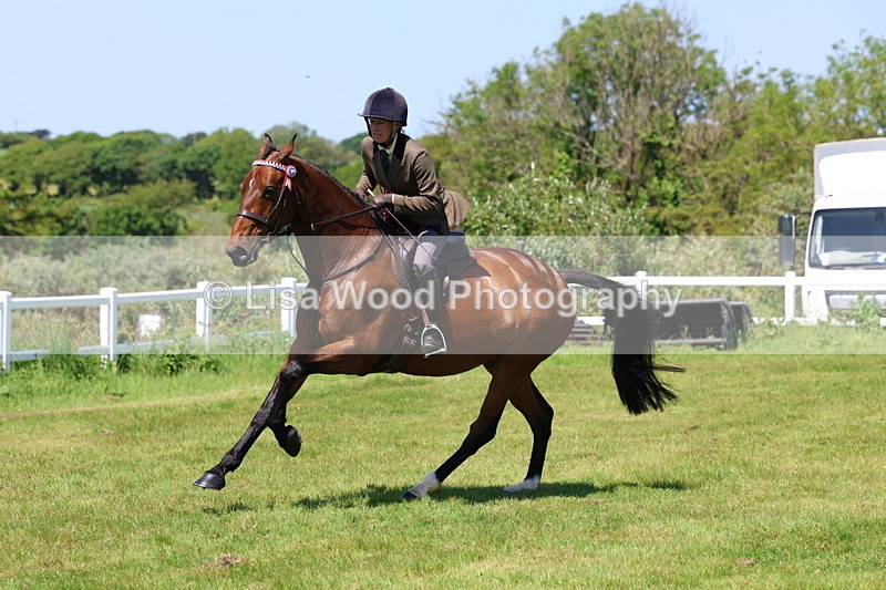 3E7A8083 - Working Hunter Championship