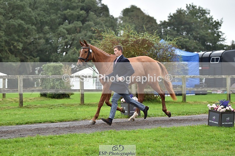 231018-121930-00206 - 069-LUSUELA-Will.Furlong-TrotUp