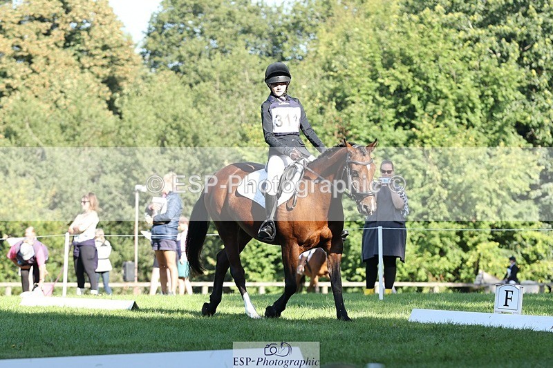 250823A-093017-25984 - Arena D