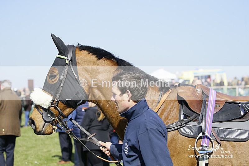 PtP 190322 151 - Wilton Hunt PtP Milborne St Andrew 19/03/22