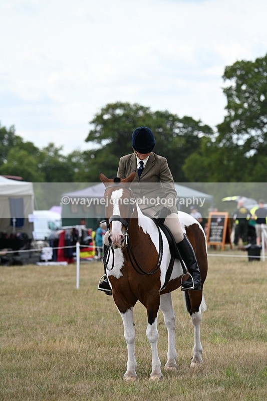 WJ7_5246 - Class 12 Ridden Cob